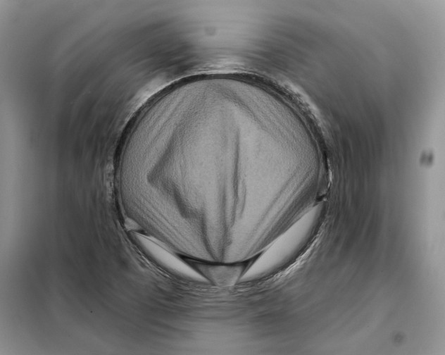 X0000097871457200804110911
