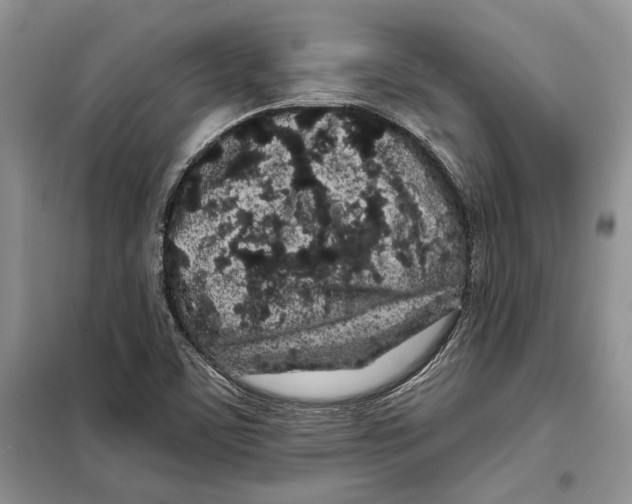 X0000097871459200804110911