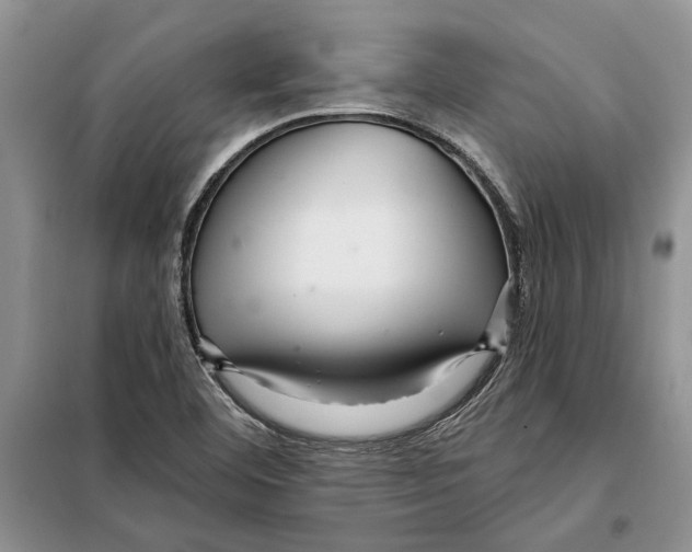 X0000097871460200804110911