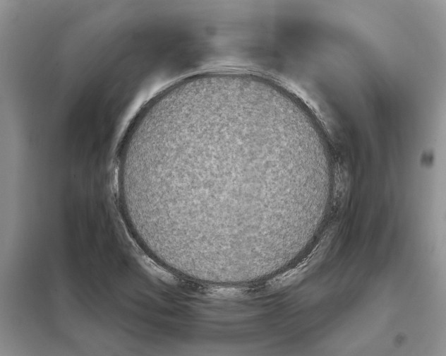 X0000097871462200804110911