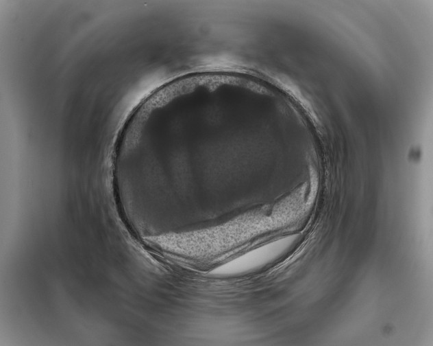X0000097871463200804110911