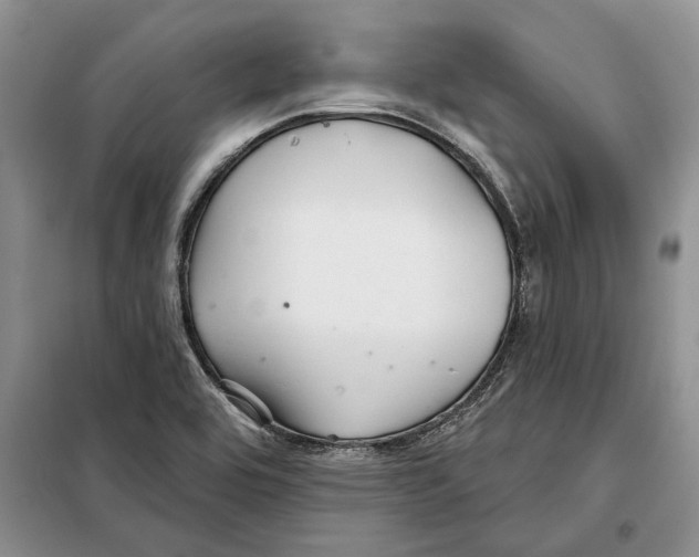 X0000097871464200804110911