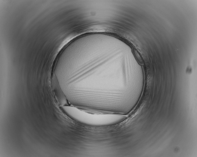 X0000097871465200804110911
