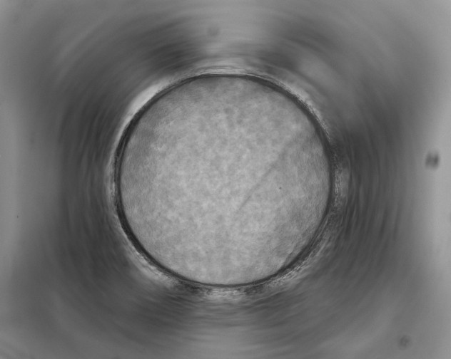 X0000097871466200804110911