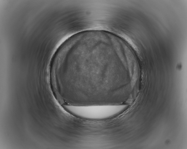 X0000097871468200804110911