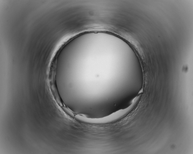 X0000097871472200804110911