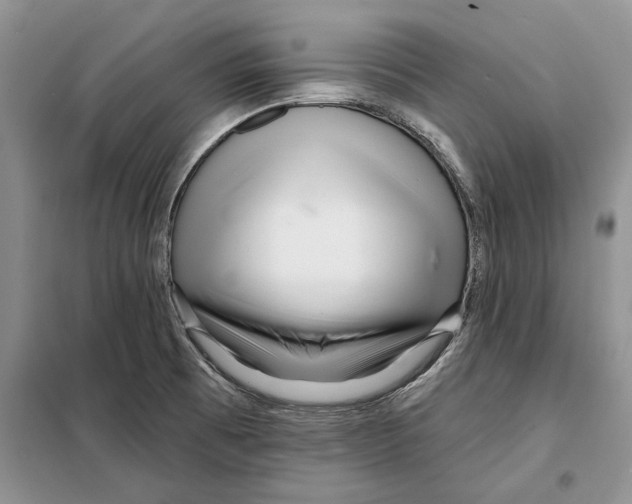X0000097871473200804110911