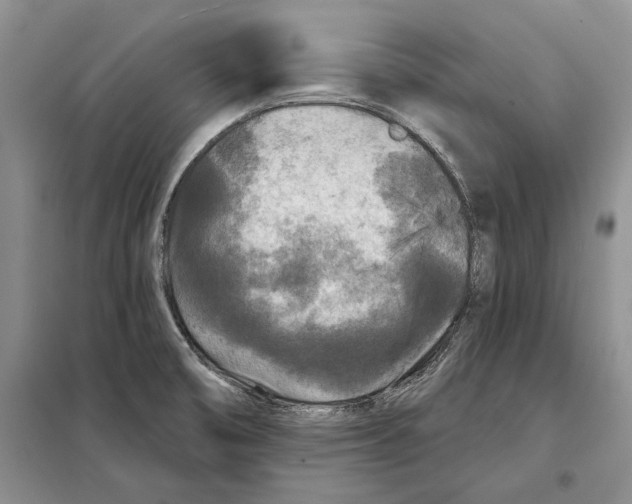 X0000097871474200804110911