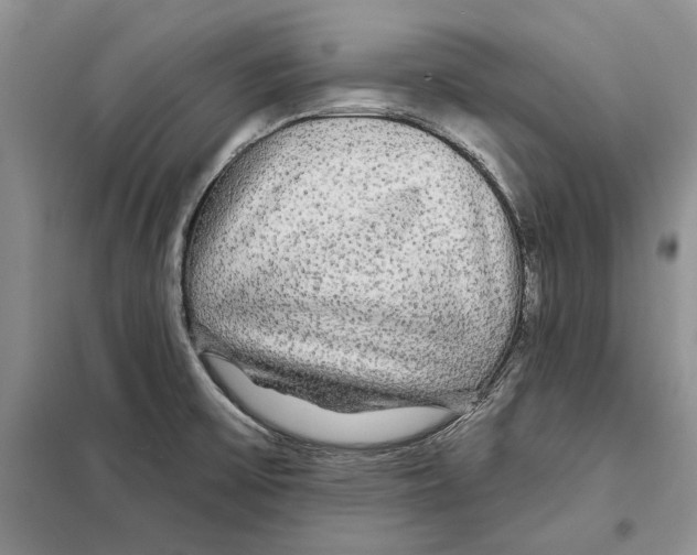 X0000097871475200804110911