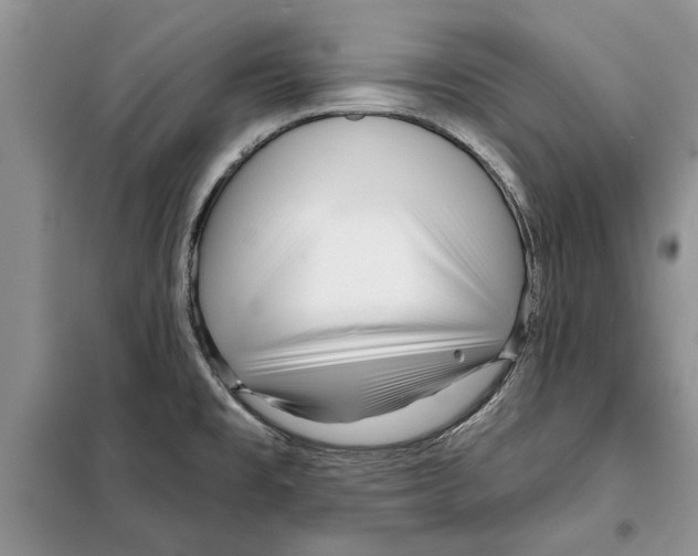 X0000097871477200804110911