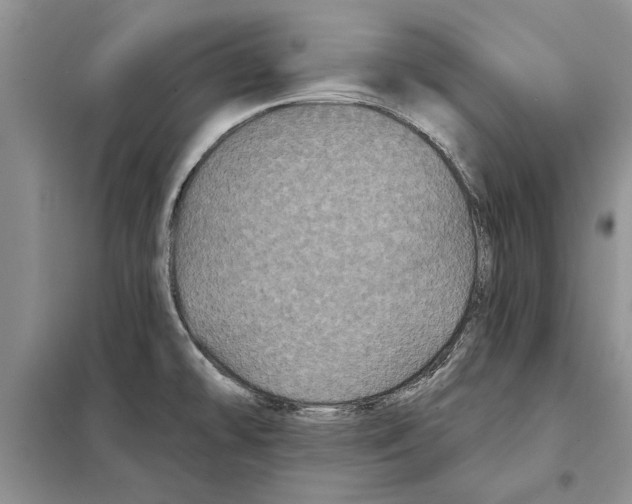 X0000097871478200804110911
