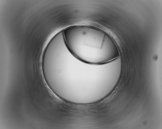 X0000097871480200804110911