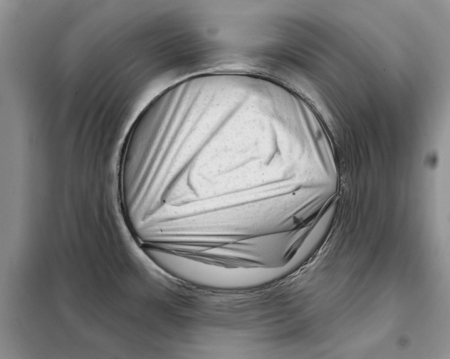 X0000097871483200804110911
