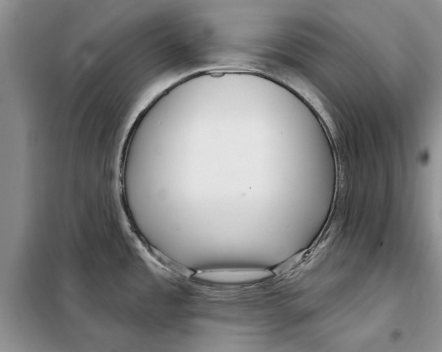 X0000097871485200804110911