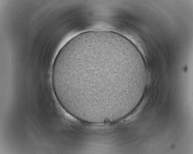 X0000097871486200804110911