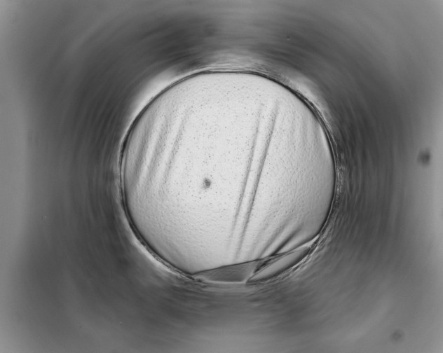 X0000097871487200804110911
