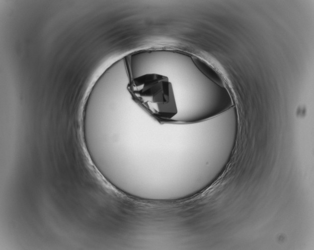X0000097871488200804110911