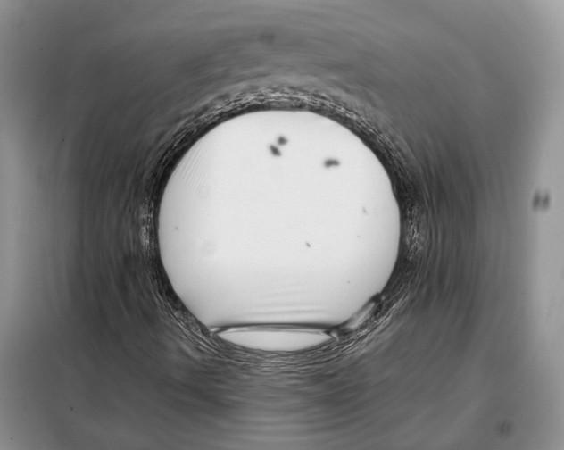 X0000097871490200804110910
