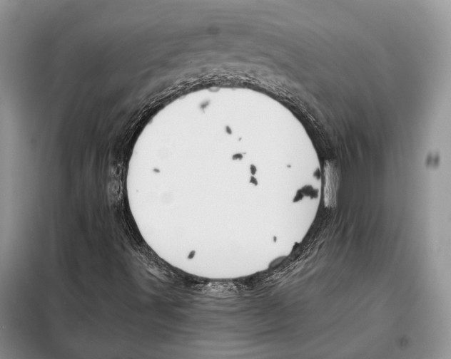 X0000097871491200804110910