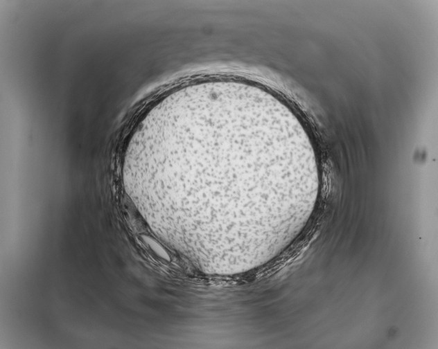 X0000097871494200804110910
