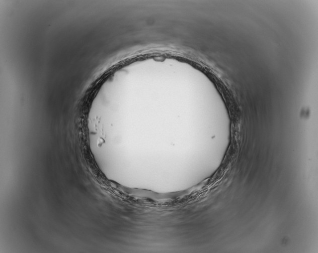 X0000097871496200804110910