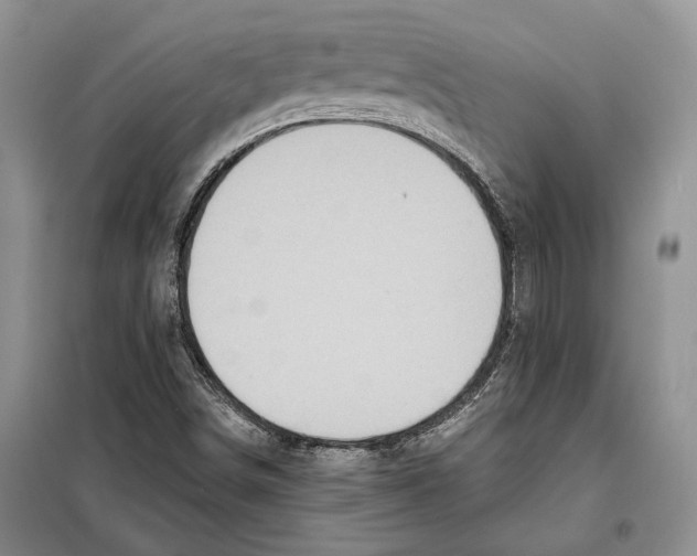 X0000097871498200804110910