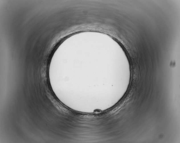 X0000097871499200804110910