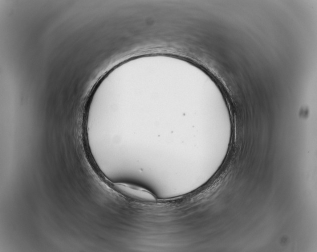 X0000097871500200804110910