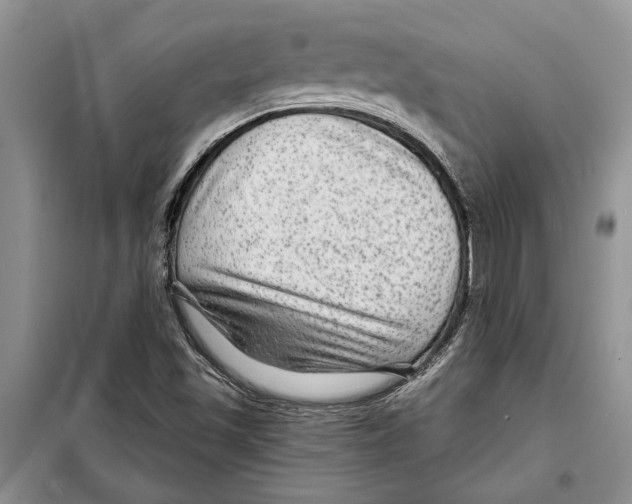 X0000097871501200804110910
