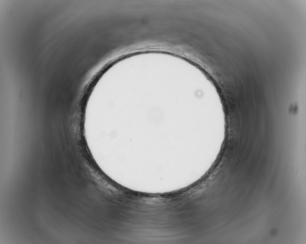 X0000097871502200804110910