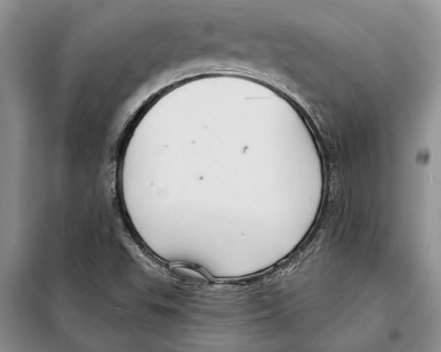 X0000097871503200804110910