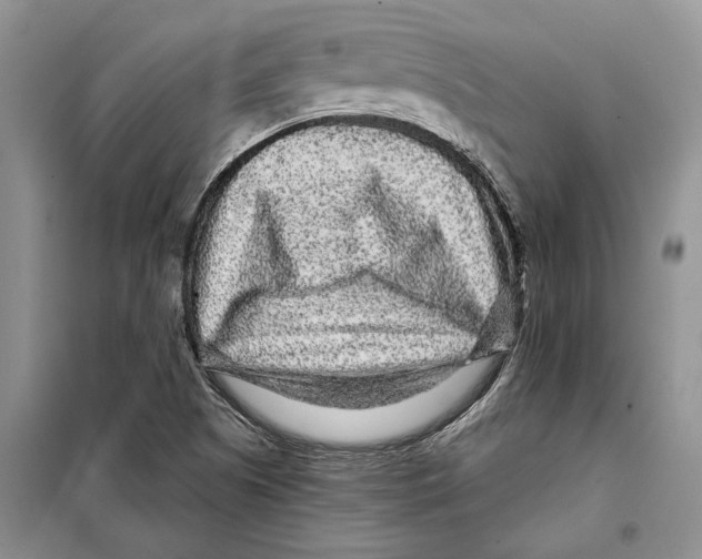 X0000097871505200804110910
