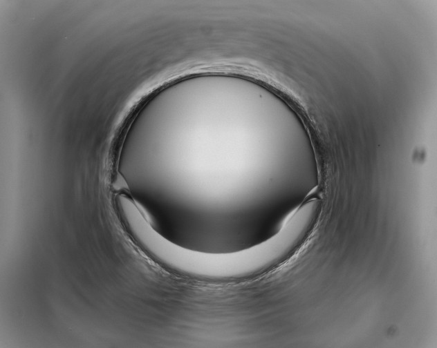 X0000097871506200804110910