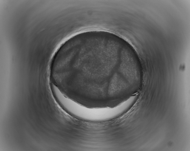 X0000097871508200804110910