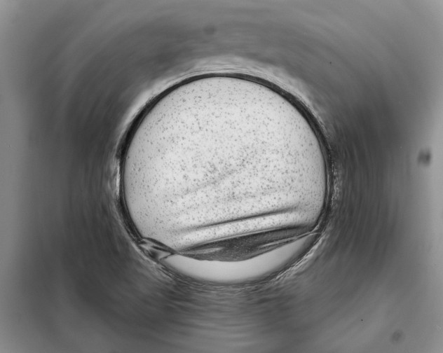 X0000097871509200804110910
