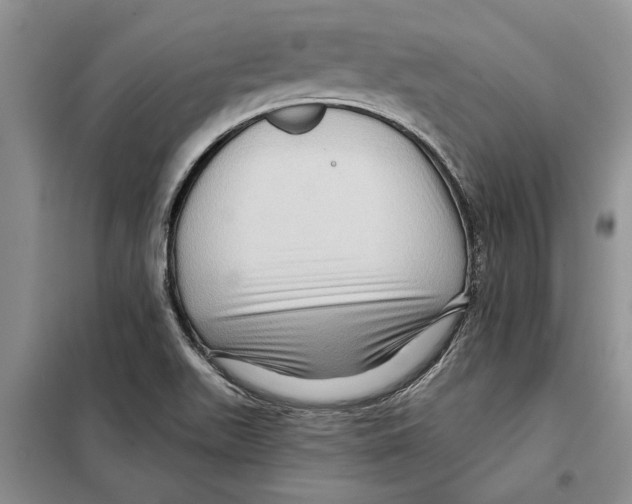 X0000097871511200804110910