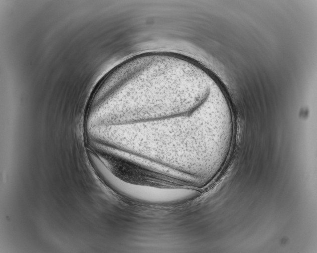 X0000097871513200804110910