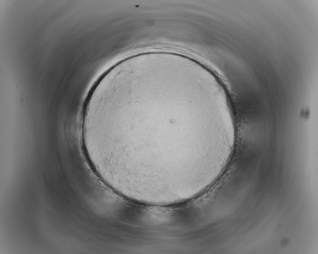 X0000097871514200804110910