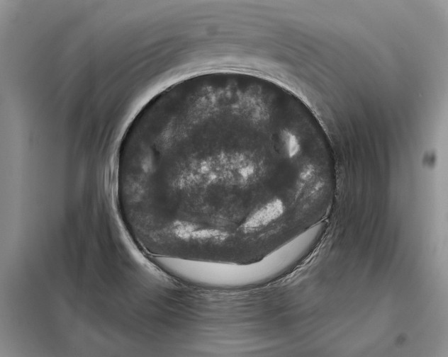 X0000097871515200804110910