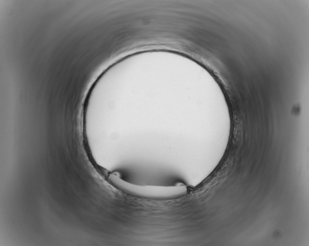 X0000097871516200804110910