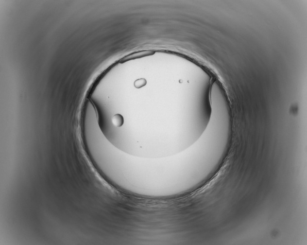 X0000097871517200804110910