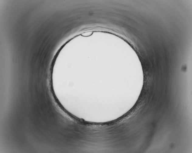 X0000097871518200804110910