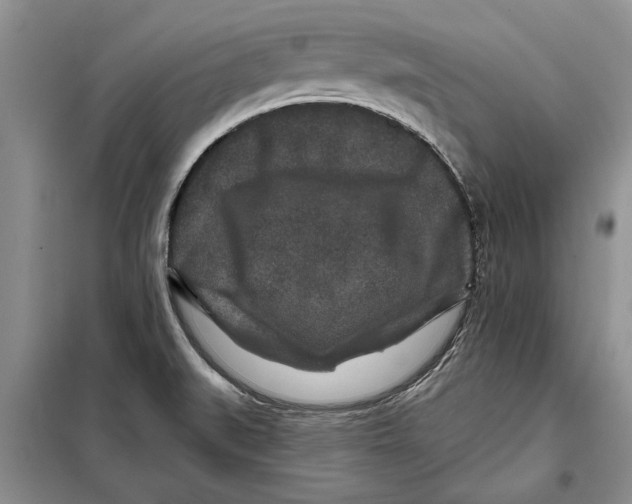 X0000097871519200804110910