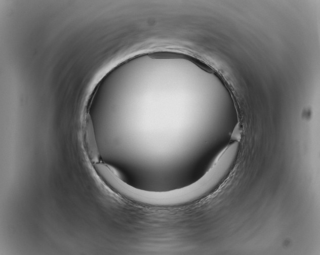 X0000097871520200804110910
