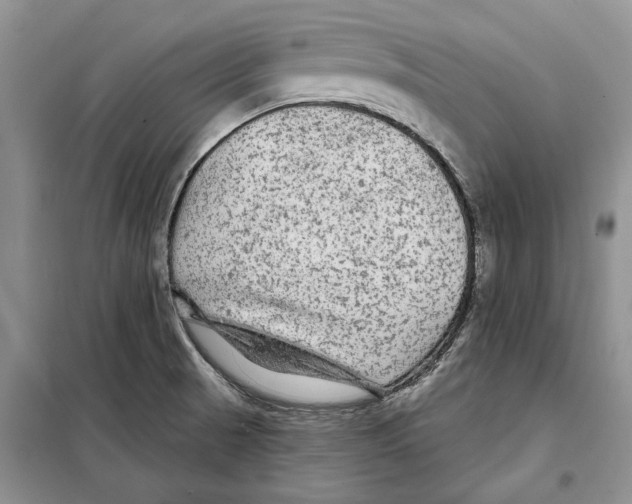 X0000097871521200804110910