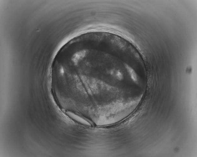 X0000097871522200804110910