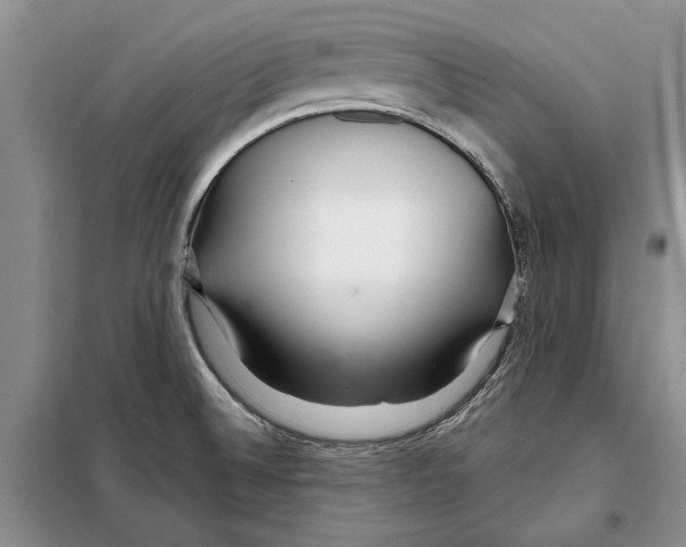 X0000097871524200804110910