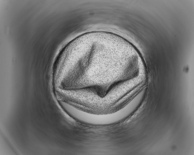 X0000097871525200804110910