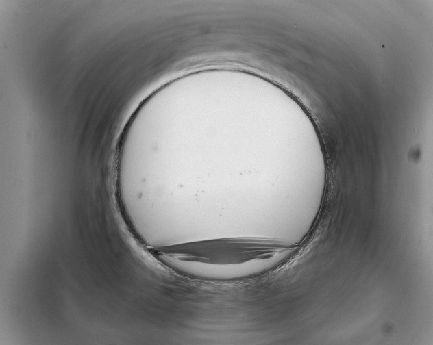 X0000097871526200804110910