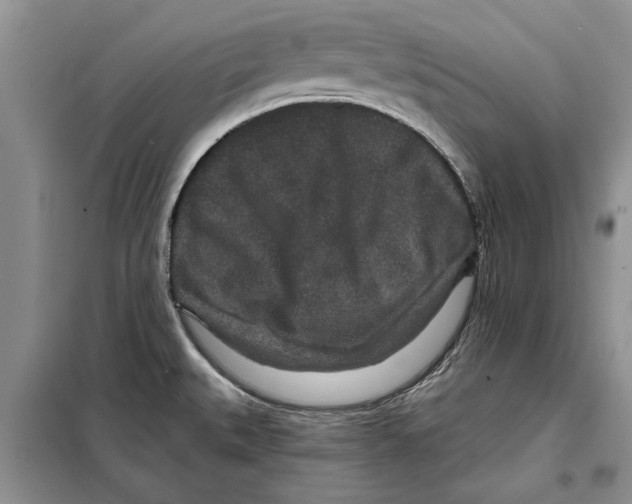 X0000097871527200804110910